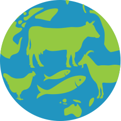 Site Icon