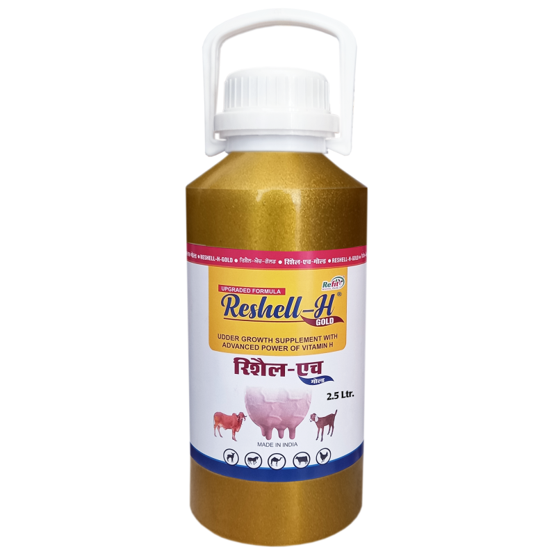 Veterinary Vitamin H Supplement for Cow, Cattle, Goat, Chicken, Layers, Broilers, Poultry and Other Livestock Animals, 2.5 Litre, Reshell H Gold