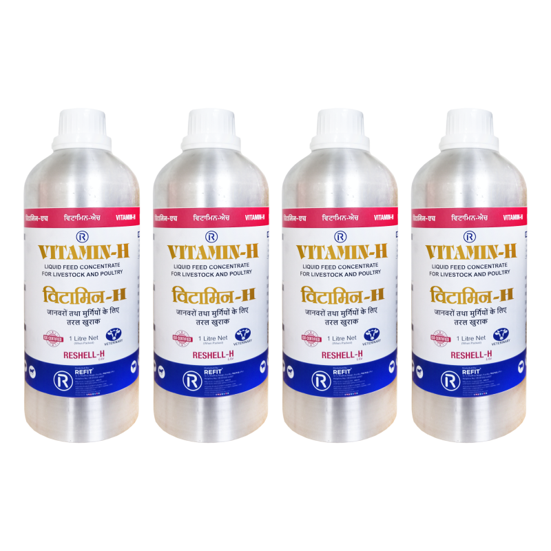 itamin H Supplement for Cow, Cattle, Buffalo, Goat, Chicks, Chicken, Poultry and Livestock Animals, 1 LTR, Pack of 4, Reshell H Lite